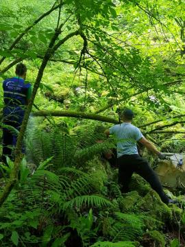 Sanacija črnega odlagališča – Banova jama 003